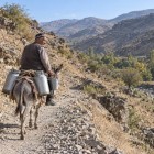 Sui sentieri rocciosi di Ukhum, un abitante trasporta bidoni per il latte a dorso d’asino: un gesto quotidiano che racconta la vita rurale nei Nuratau.