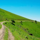 Alle ore 09:00, incontro con l’autista e la guida e partenza da Bukhara verso Samarcanda, attraversando i paesaggi rurali dell’Uzbekistan.